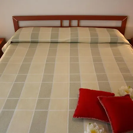 Kenzia カットーリカ